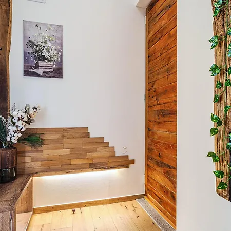 Vineyard Pri Mali Luzi