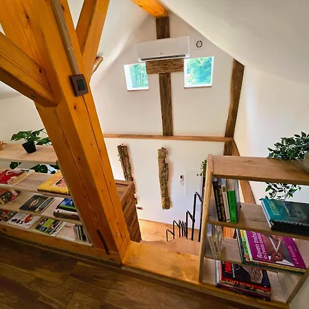 Vineyard Pri Mali Luzi Trebelno