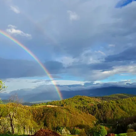 Vineyard Pri Mali Luzi Trebelno