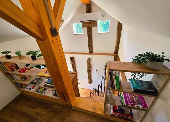 Vineyard Pri Mali Luži Trebelno