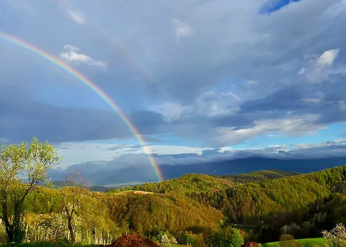 Vineyard Pri Mali Luži Trebelno