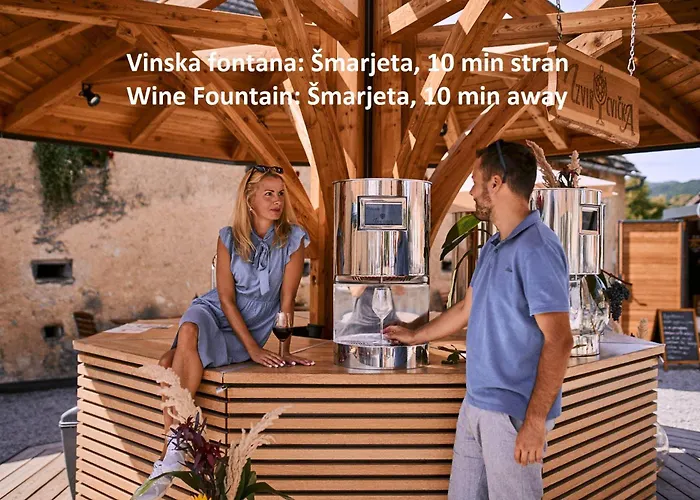 Vineyard Pri Mali Luži Casa vacanze Trebelno